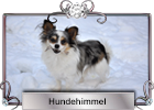 Hundehimmel