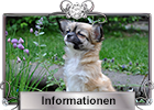 Wichtige Informationen