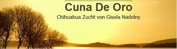 gnadolny.bplaced.net