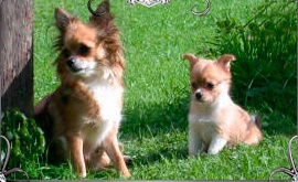 Mutter Sheena und Uken