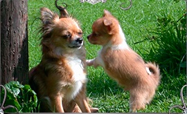 Mutter Sheena und Uken